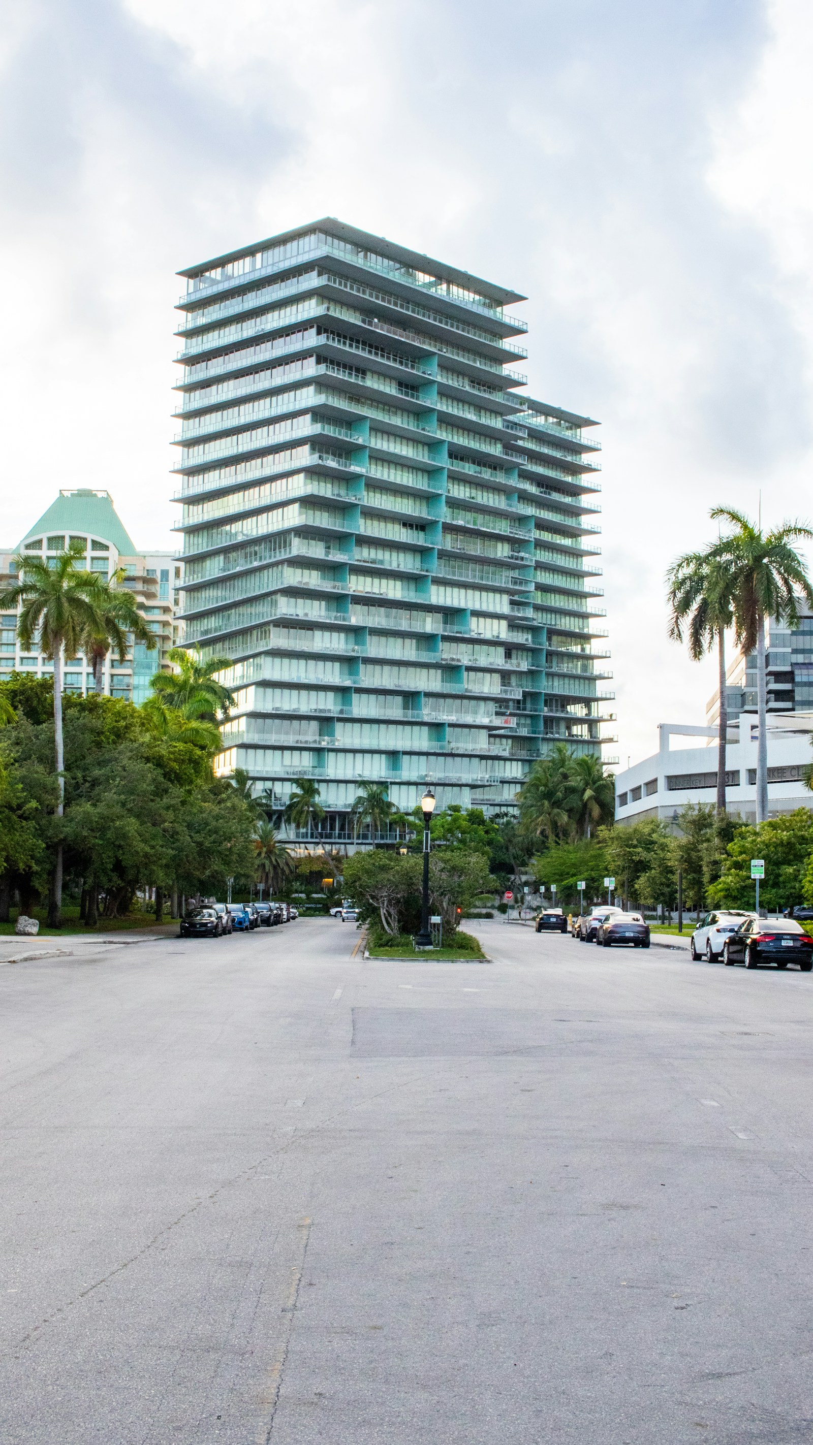 Palm-lined street and modern residences in Coconut Grove