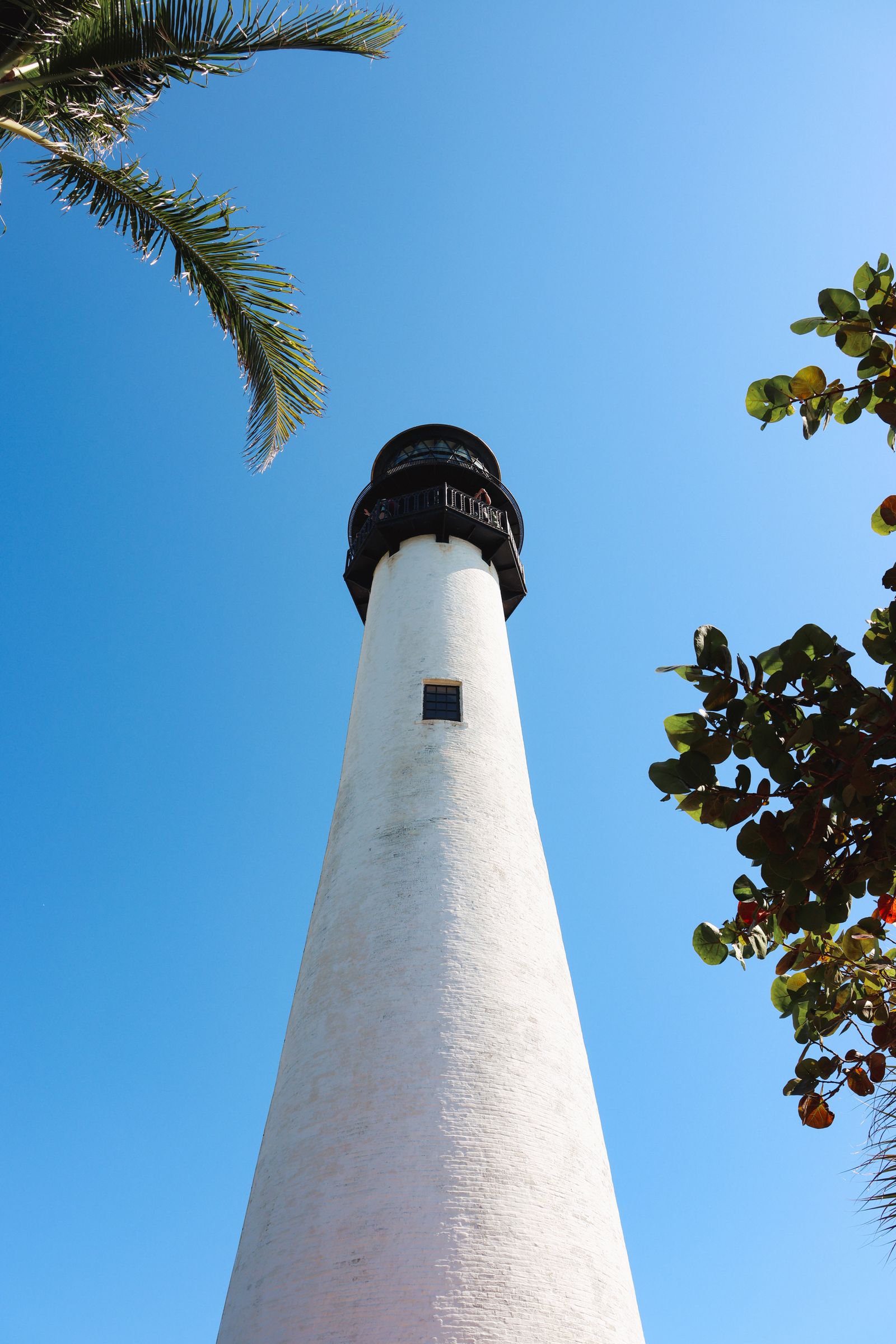 Cape Florida Lighthouse surrounded by tropical foliage in Key Biscayne
