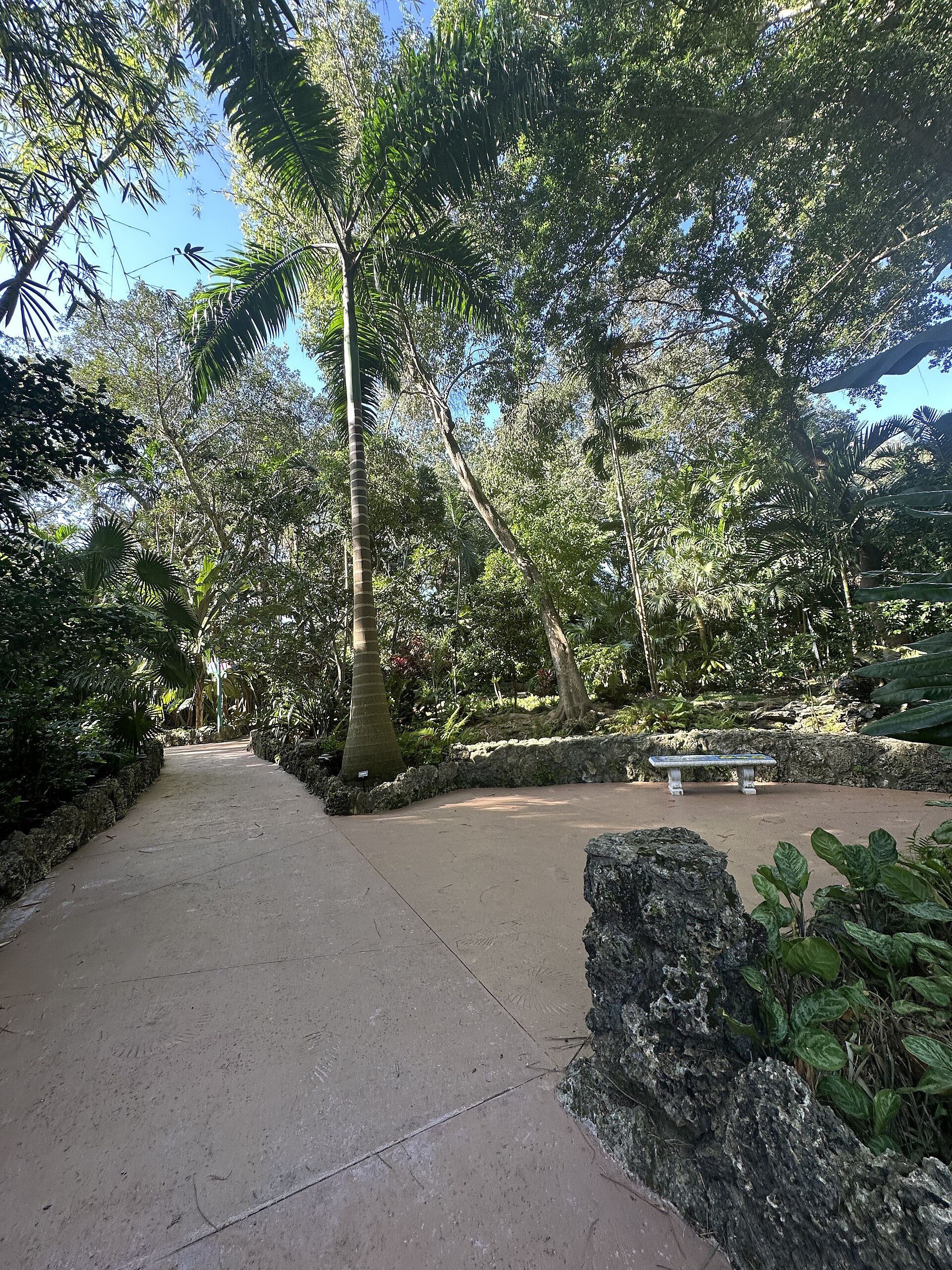 Lush path at Pinecrest Gardens in Pinecrest Florida